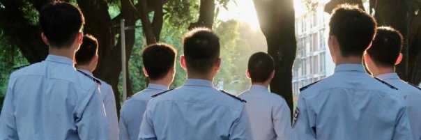 暖阳警心 林 banner