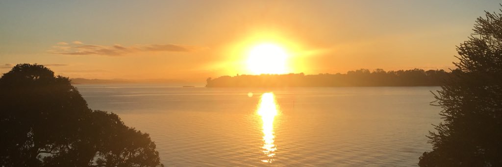 juliadoak's profile banner image