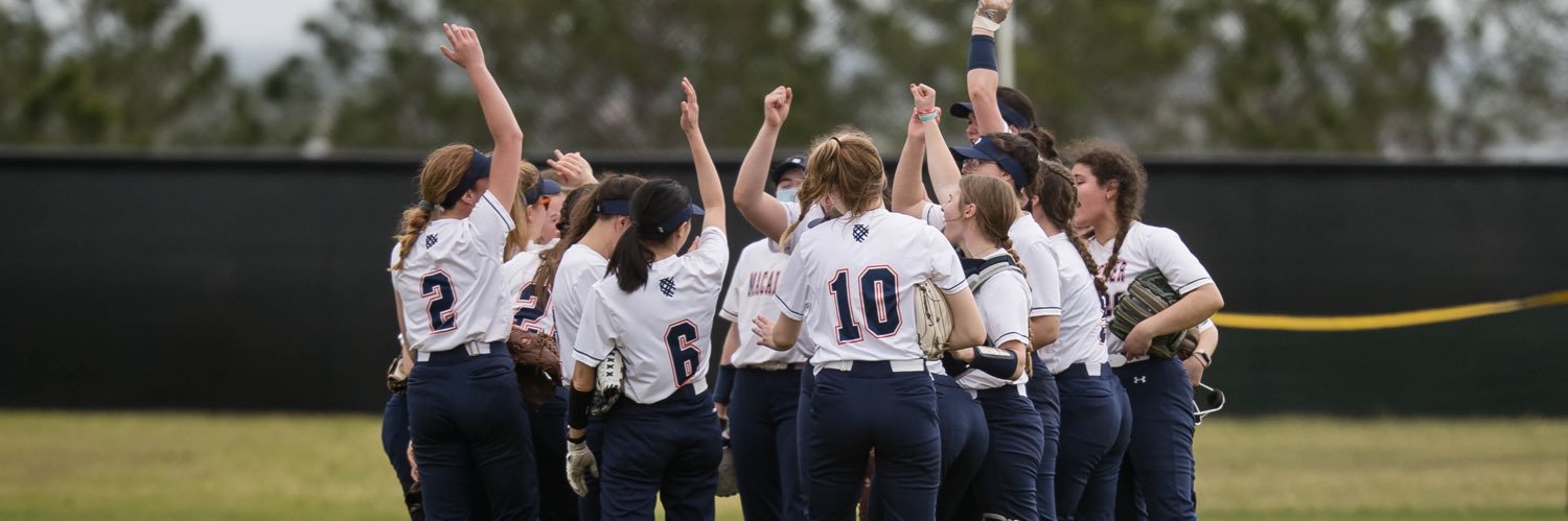 Macalester Softball banner