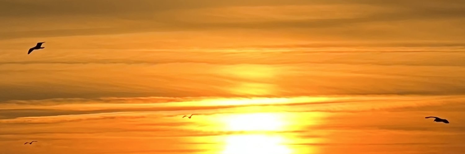 rasdefiga's profile banner image