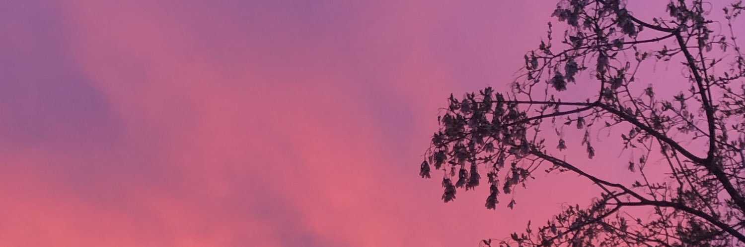 HeidyHoee's profile banner image