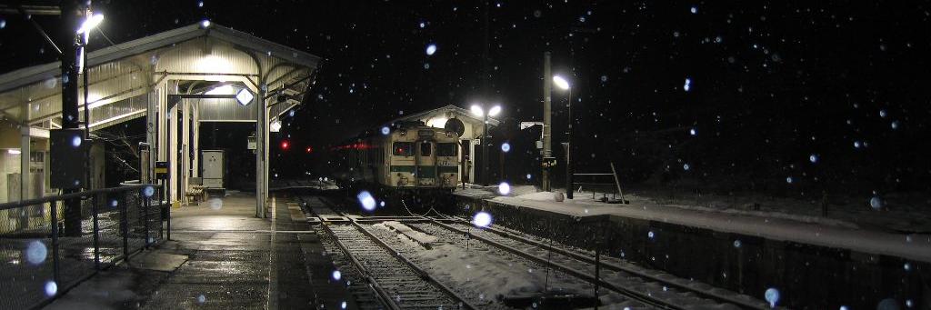 純国産西のいーる banner