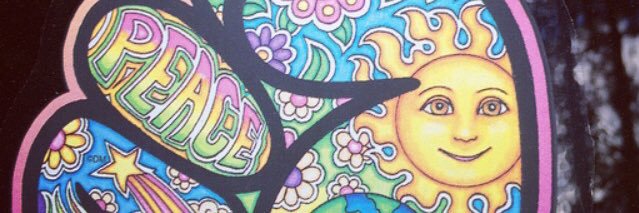 oriana cicconi banner