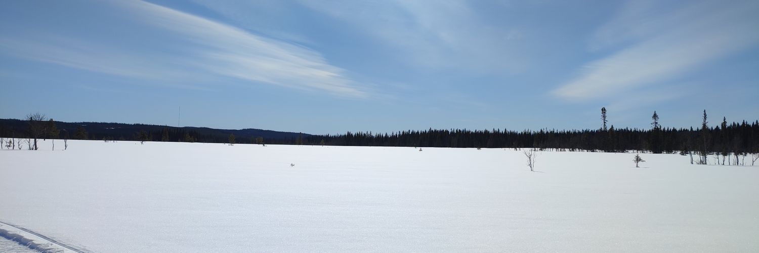 Loggzilla's profile banner image