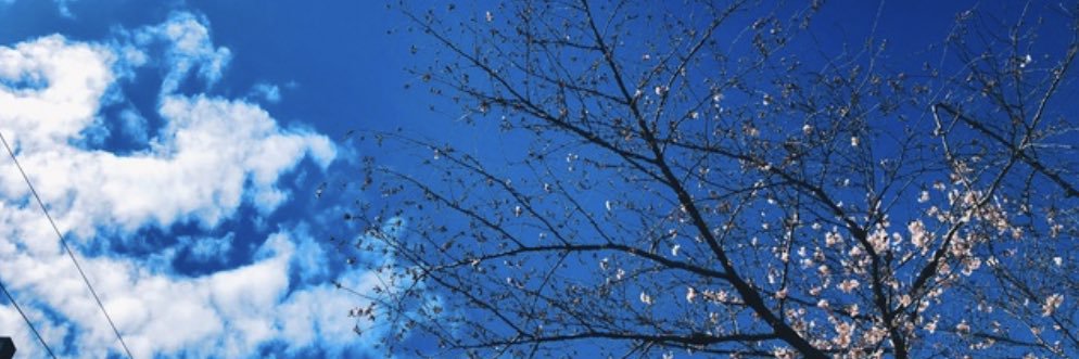 dewa___'s profile banner image