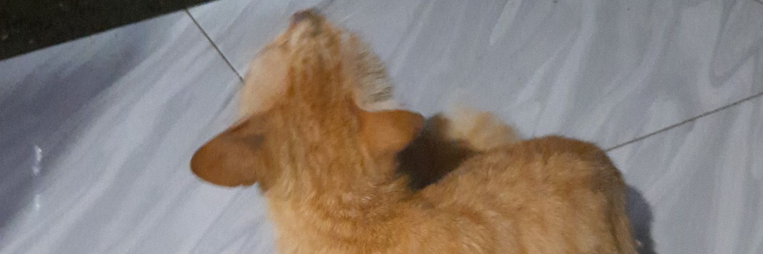 krokenmodinger's profile banner image