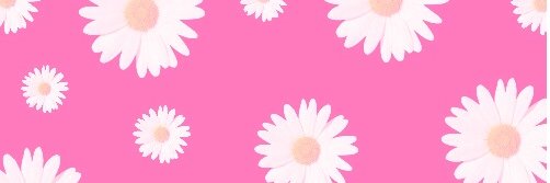 beresuarezgdo's profile banner image