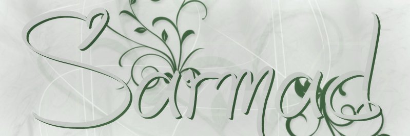 sarmadtoru's profile banner image