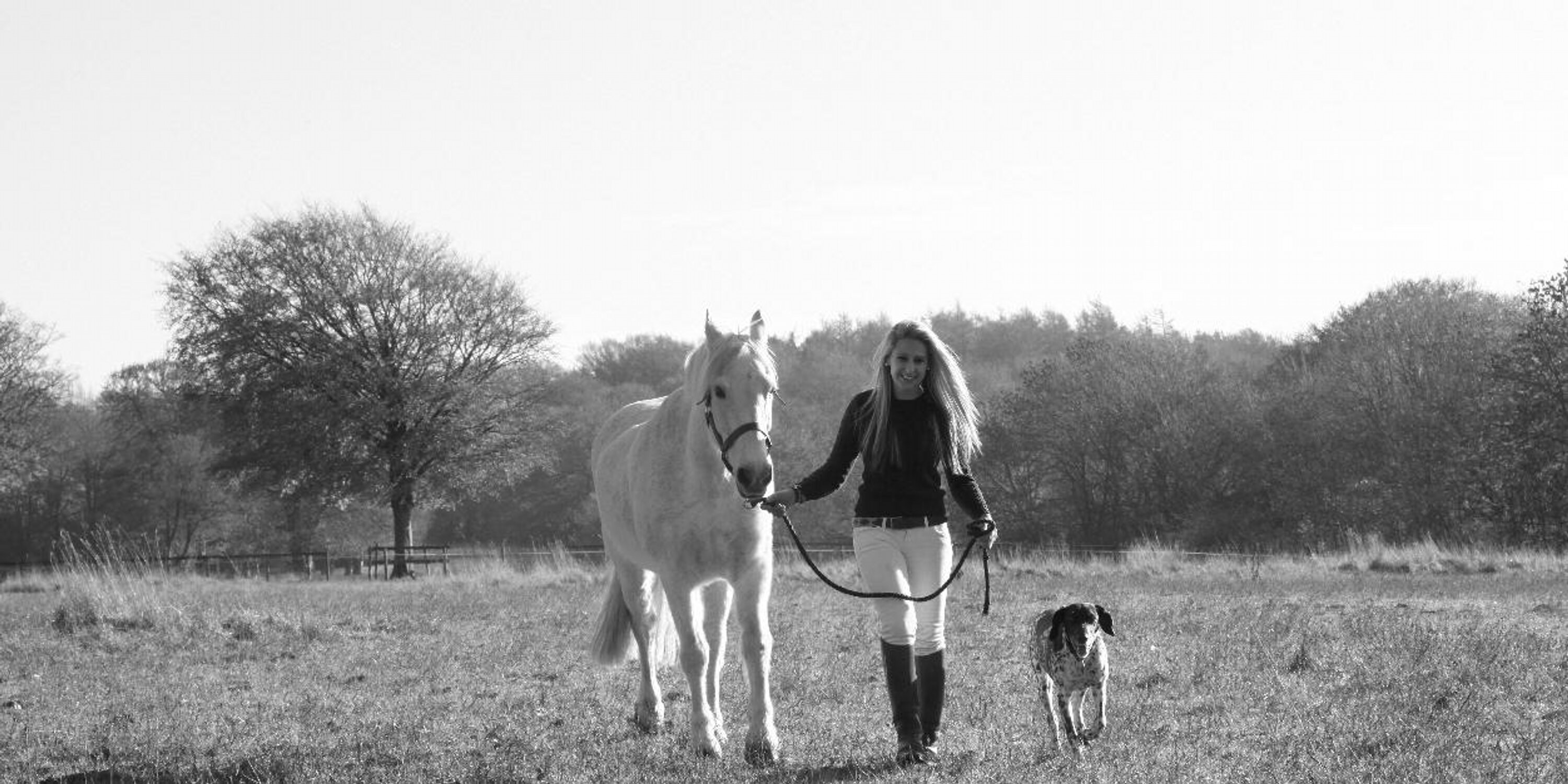 BeeHockham's profile banner image