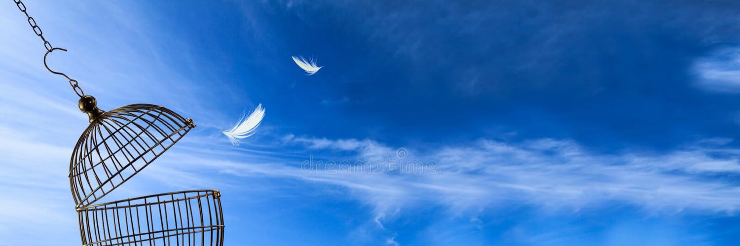 أحمد الشيخي 🇸🇦🫡 banner