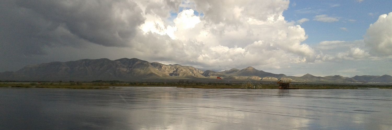 claudiainmotion's profile banner image
