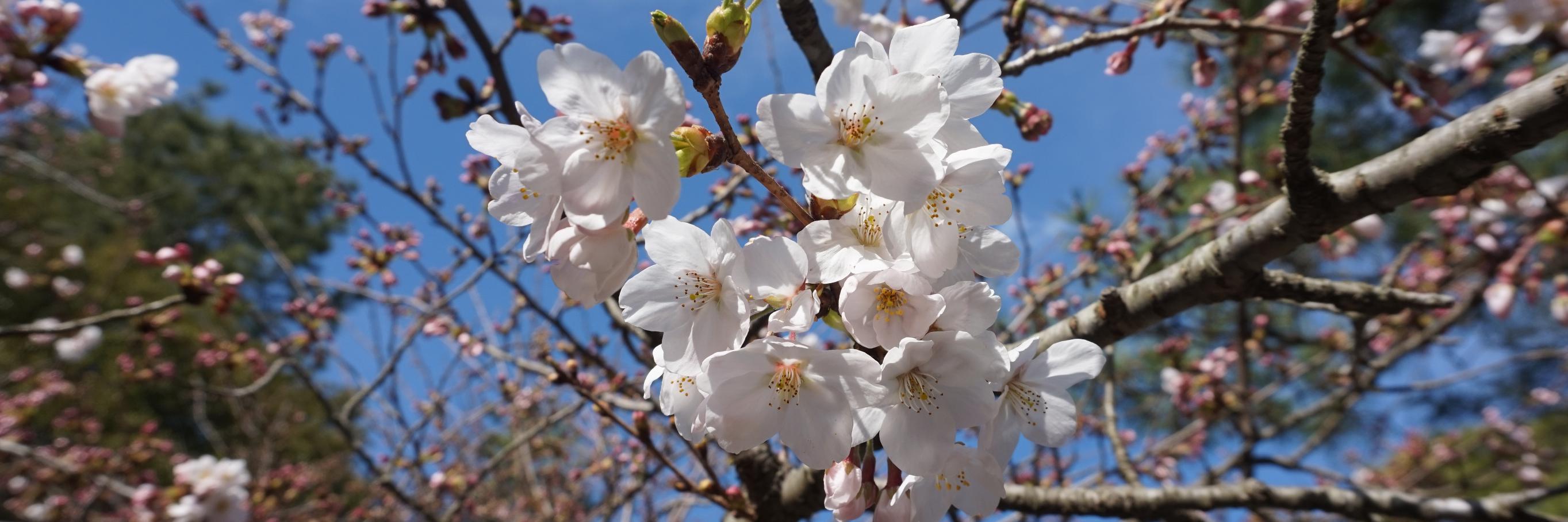 a0750545's profile banner image