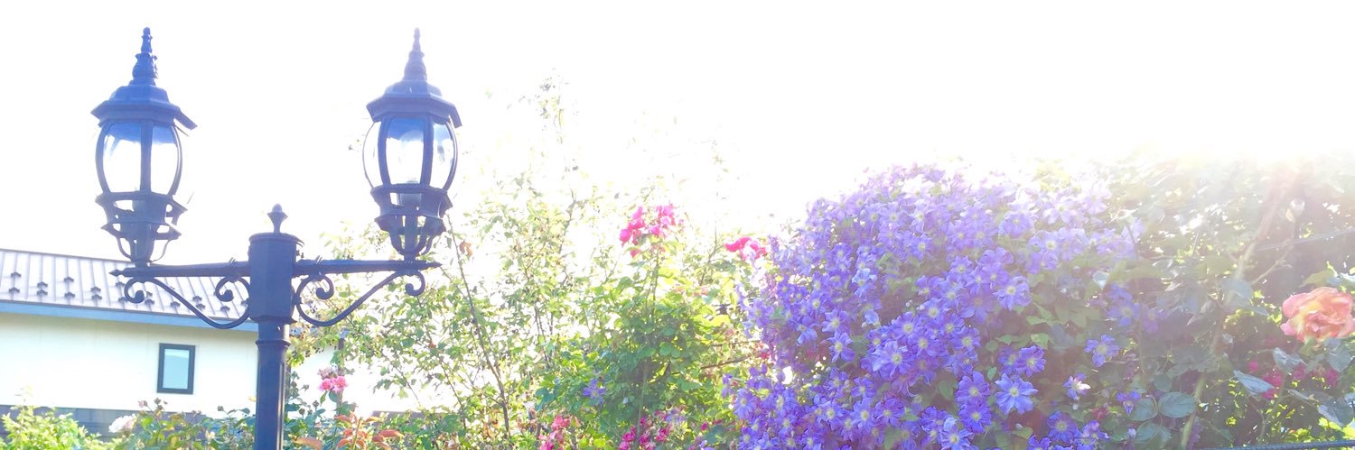 UC_IBD28years's profile banner image
