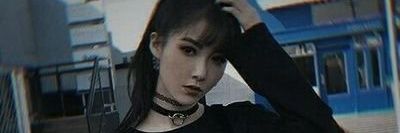 MaLin banner