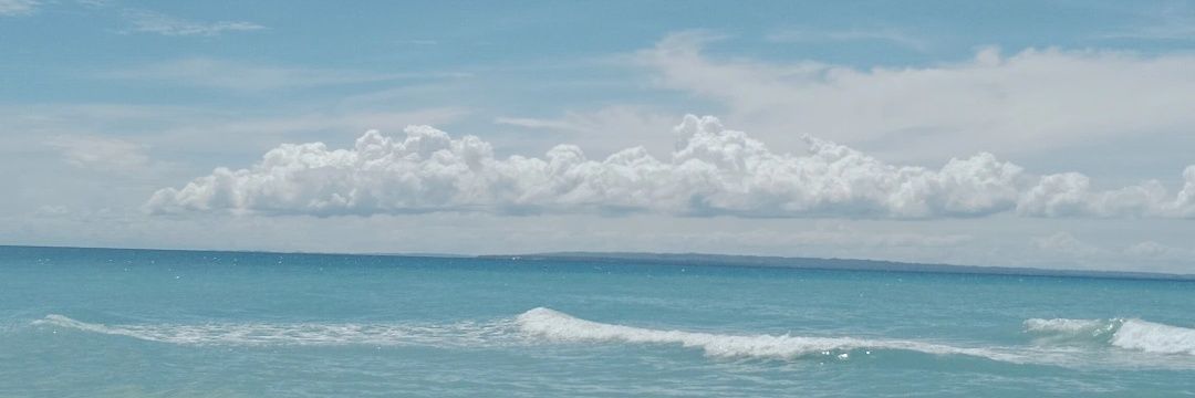 Lesnes16's profile banner image