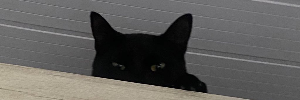 mathribeiro23's profile banner image