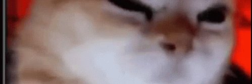 globu.bsky.social banner