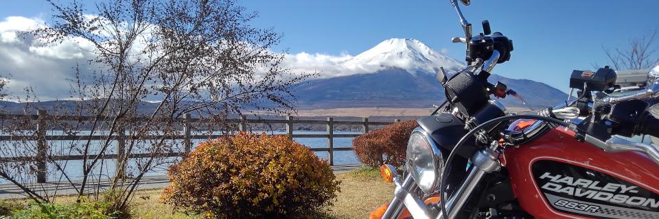 teruo_maeda's profile banner image