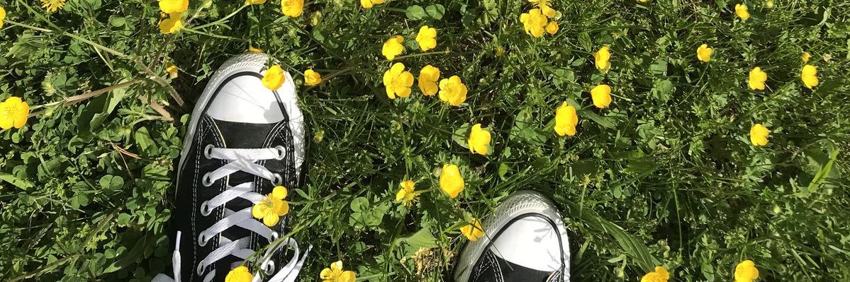 Forgetmelxxiv's profile banner image