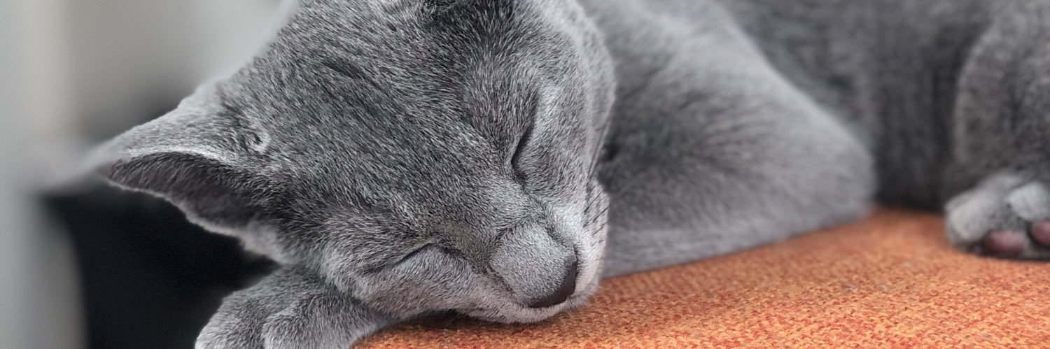 pata000😼🌾百姓 banner