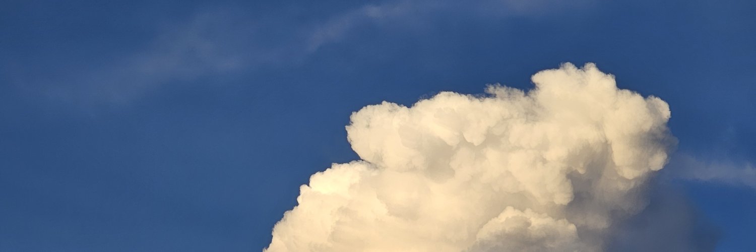 warimcmxcix's profile banner image