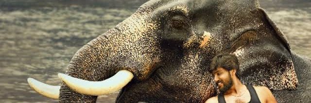 Arav banner