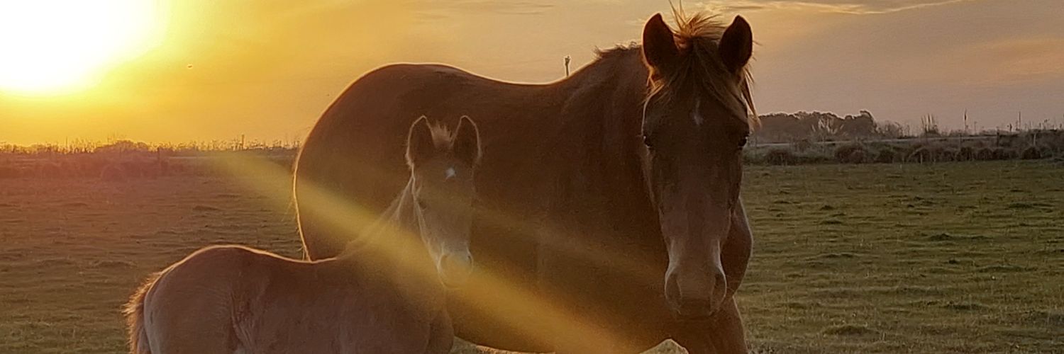 _Valentroncoso's profile banner image