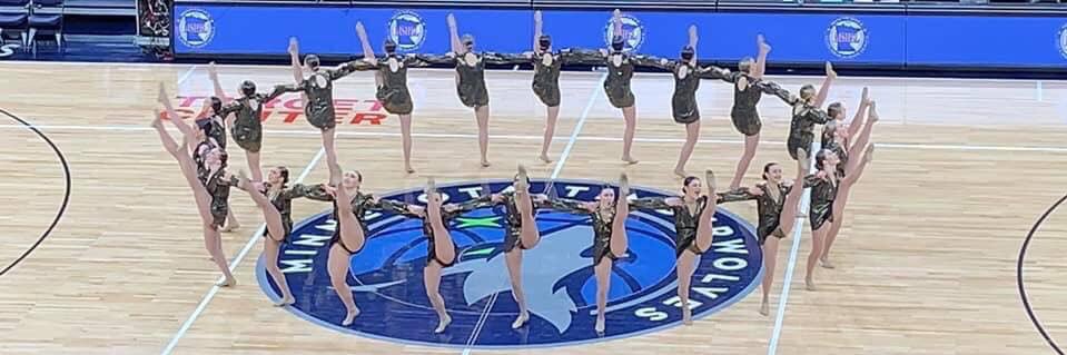 LN Lake Liners DT banner