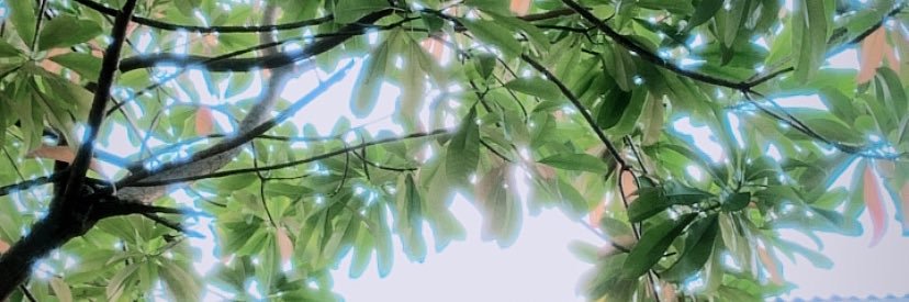 RumahKacaa's profile banner image
