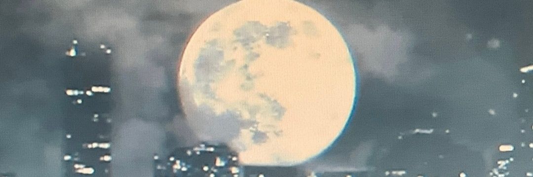 kou5656's profile banner image
