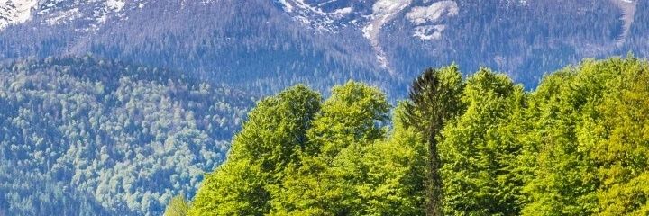slspr_mhmt's profile banner image