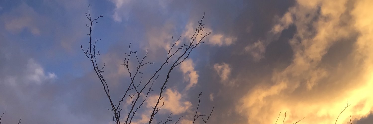 rennatta41's profile banner image