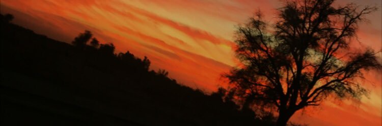 KoKosha2020's profile banner image