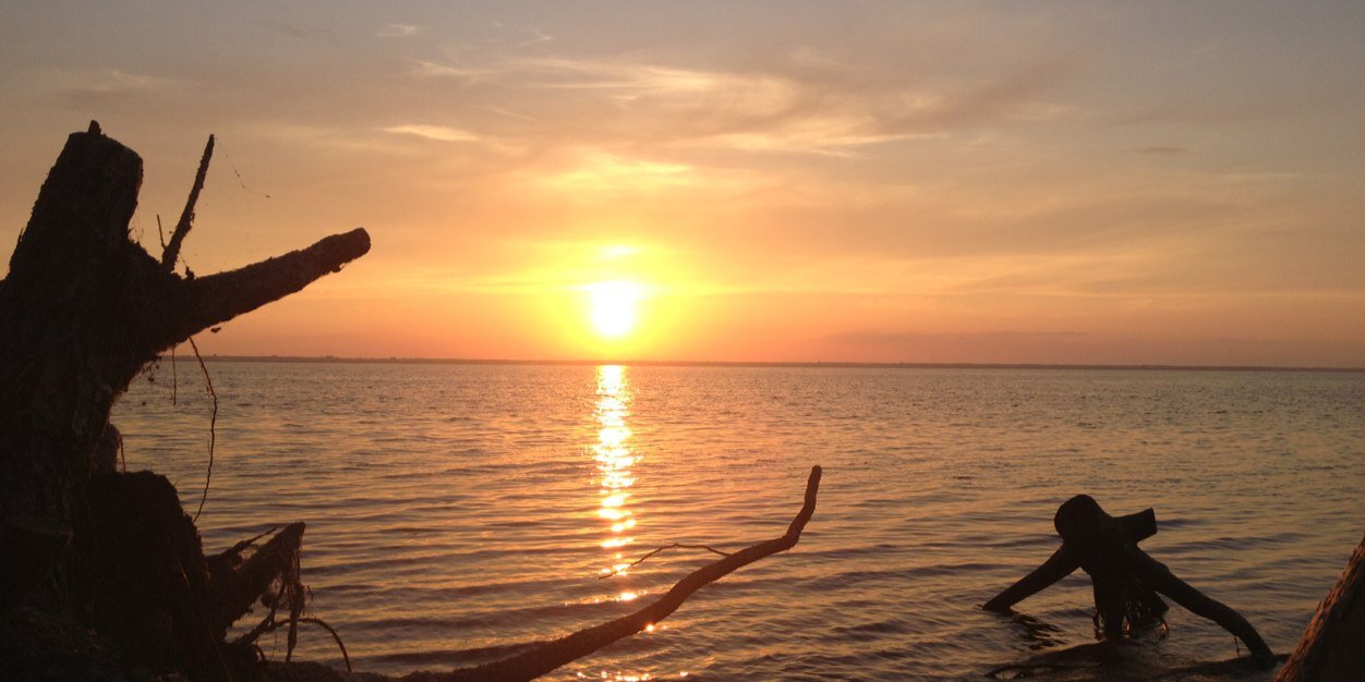 Baaarrrs's profile banner image