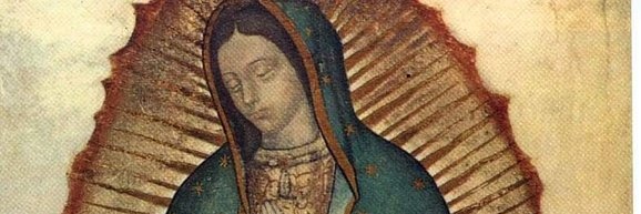 joycesrsilva's profile banner image