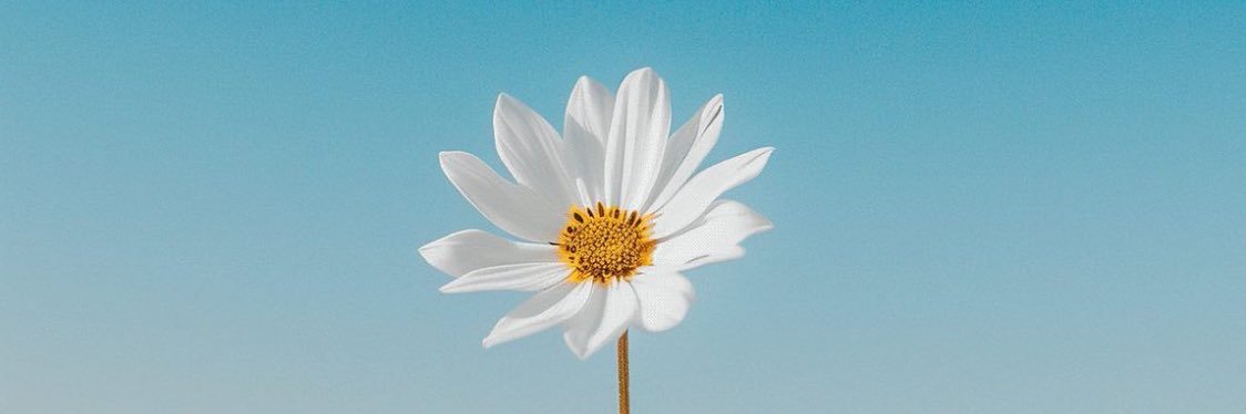 Mattias Lindström banner