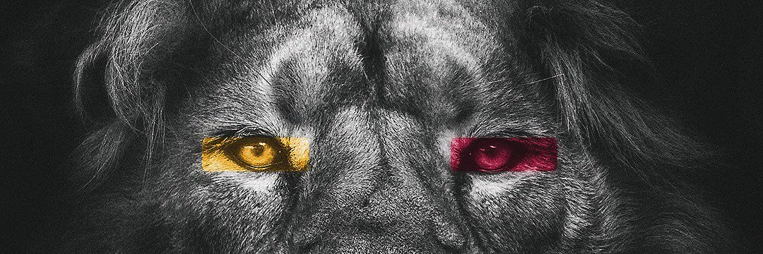 ergonomikargo's profile banner image