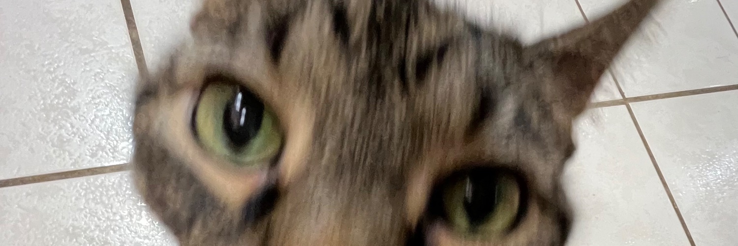 Domc banner