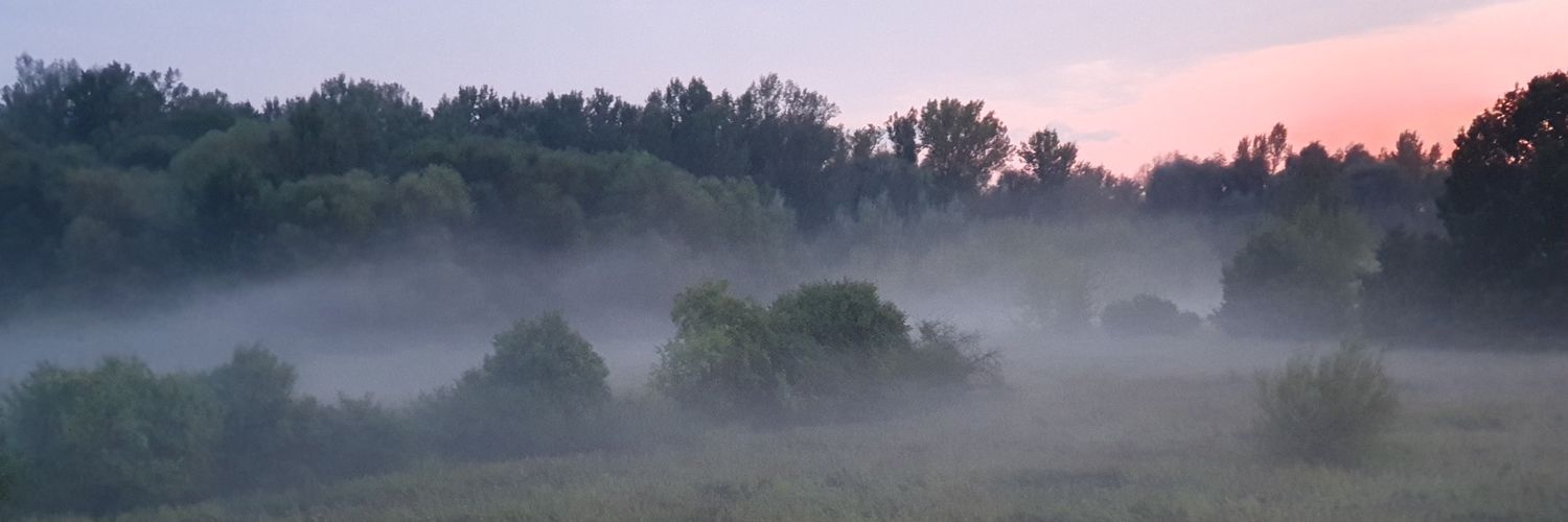 tkielecki's profile banner image