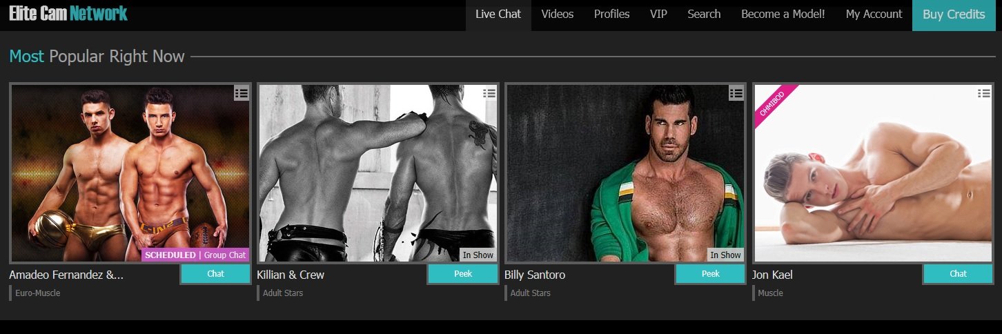 TeaseMeLive2's profile banner image