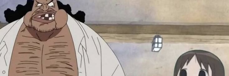 coppo banner