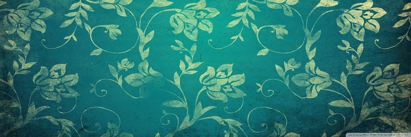 Solace Bear 🍉 banner