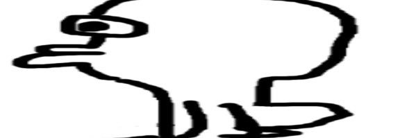 🫀🦴┇ ZEL ! ! - ,, || #IWEYG banner