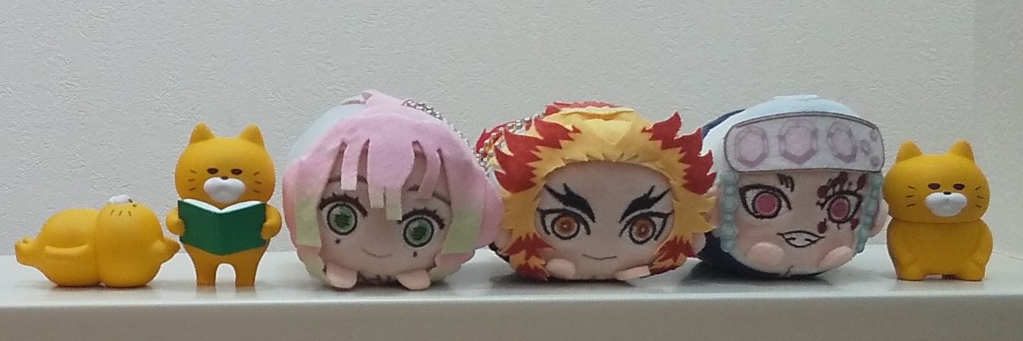 きのこ🍄11Y♂&5Y♂ banner