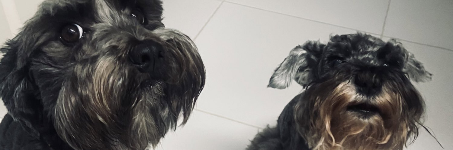 stollara_'s profile banner image