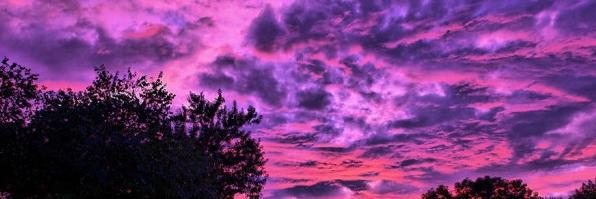 Shelli_Bean's profile banner image