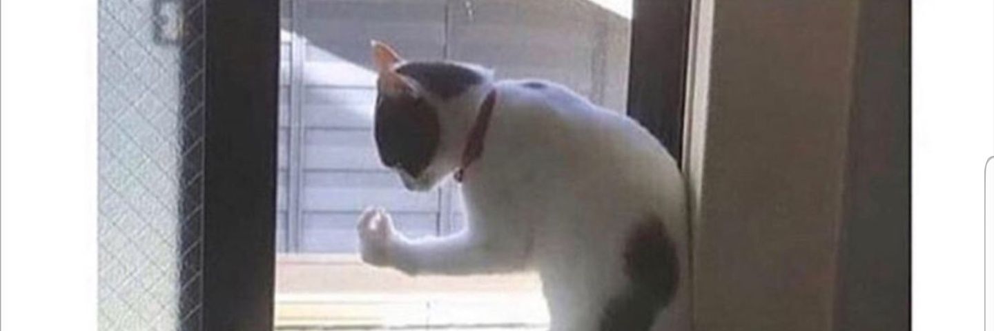 Yeeter284's profile banner image