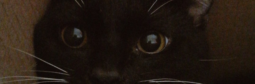 maritza_ln3's profile banner image