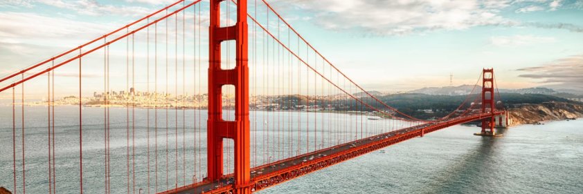 Jack Winterland banner