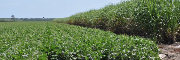 Irrigation4P Profile Banner
